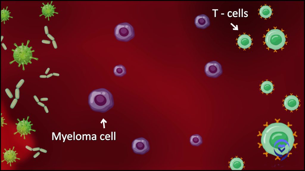 CAR T-cells and bispecific antibodies, redirect all the T-cells in your body away from the virus or bacteria and towards the cancer cell.