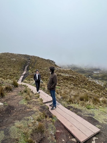 Drea C. stage 4 ROS1+ lung cancer