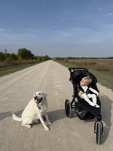 Laurel M. kidney cancer