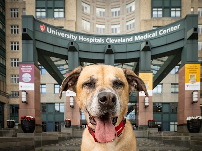 Michael Bugary brain cancer